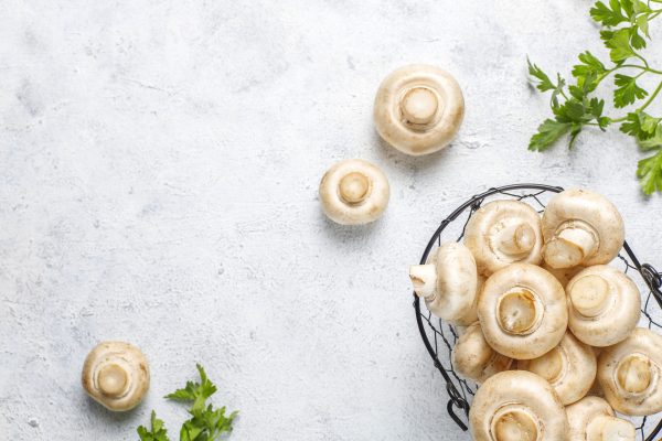 Fresh organic white mushrooms champignon,top view